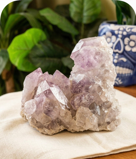 Gaia Gate Wellness Raw Congo Amethyst Cluster | Third Eye & Crown Chakra Crystal | Pisces & Aquarius Stone | Sacred Energy Specimen