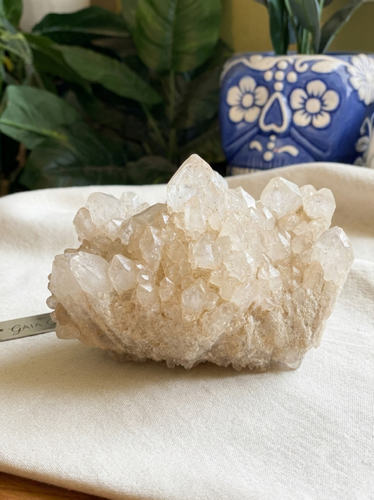 Gaia Gate Wellness Raw Congo Snow Quartz Cluster | Crown Chakra Crystal | Virgo & Capricorn Stone | Natural Harmony & Clarity Specimen